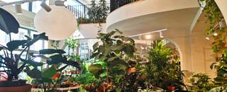 Tipps der Stadtspionin