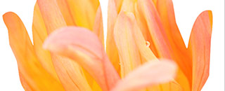 Tipps der Stadtspionin