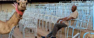 Tipps der Stadtspionin