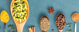 Tipps der Stadtspionin