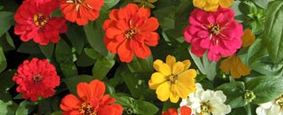 Tipps der Stadtspionin