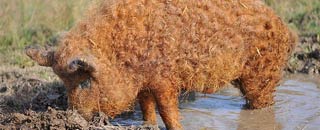 Tipps der Stadtspionin