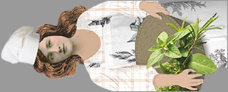 Tipps der Stadtspionin