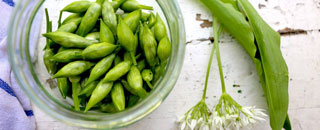 Tipps der Stadtspionin