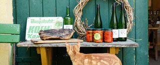 Tipps der Stadtspionin