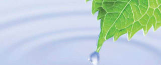 Tipps der Stadtspionin