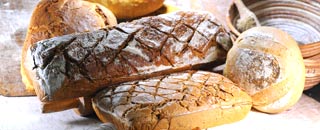 Tipps der Stadtspionin