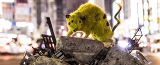 Tipps der Stadtspionin