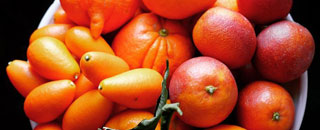 Tipps der Stadtspionin