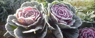 Tipps der Stadtspionin