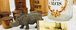 Tipps der Stadtspionin