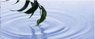 Tipps der Stadtspionin