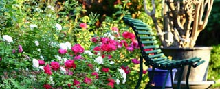 Tipps der Stadtspionin