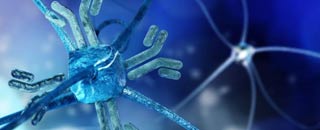 Tipps der Stadtspionin