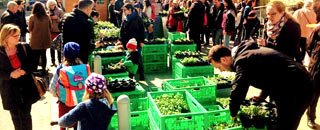 Tipps der Stadtspionin