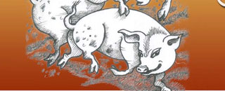 Tipps der Stadtspionin