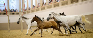 Tipps der Stadtspionin